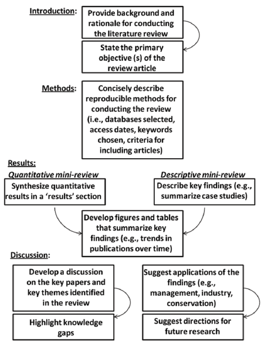 what is article review essay