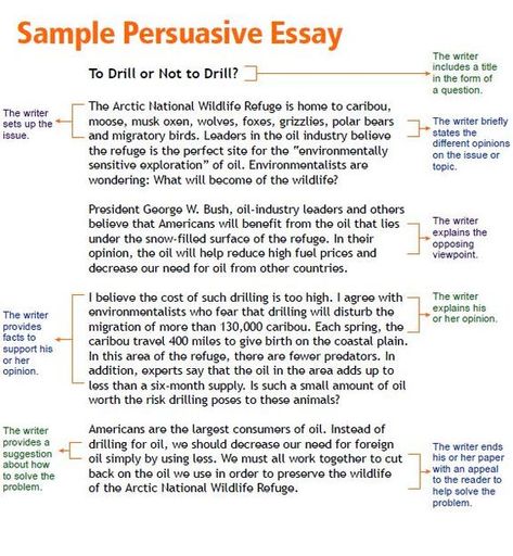 the structure of a persuasive essay